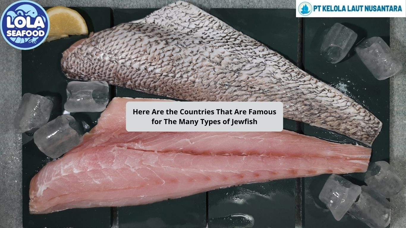Here Are the Countries That Are Famous for The Many Types of Jewfish